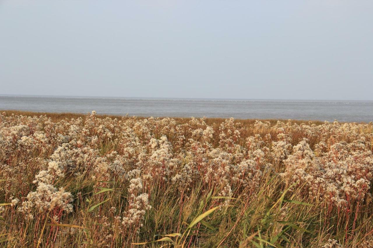 Annemaries Nordseehaus Butjadingen Exterior photo